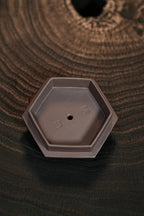 紫砂界80后方器标杆·耿浩巅峰臻品《六方龙凤壶》甄选原矿优质老紫泥·200cc