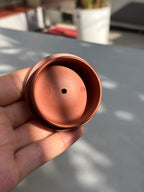 中国紫砂界当代梅王·朱炳浩(石陶）本工巅峰臻品《暗香石瓢》——原矿优质底槽清·120cc（黄金贝壳烧） ——任淦庭大师高徒｜朱炳浩（石陶）之作