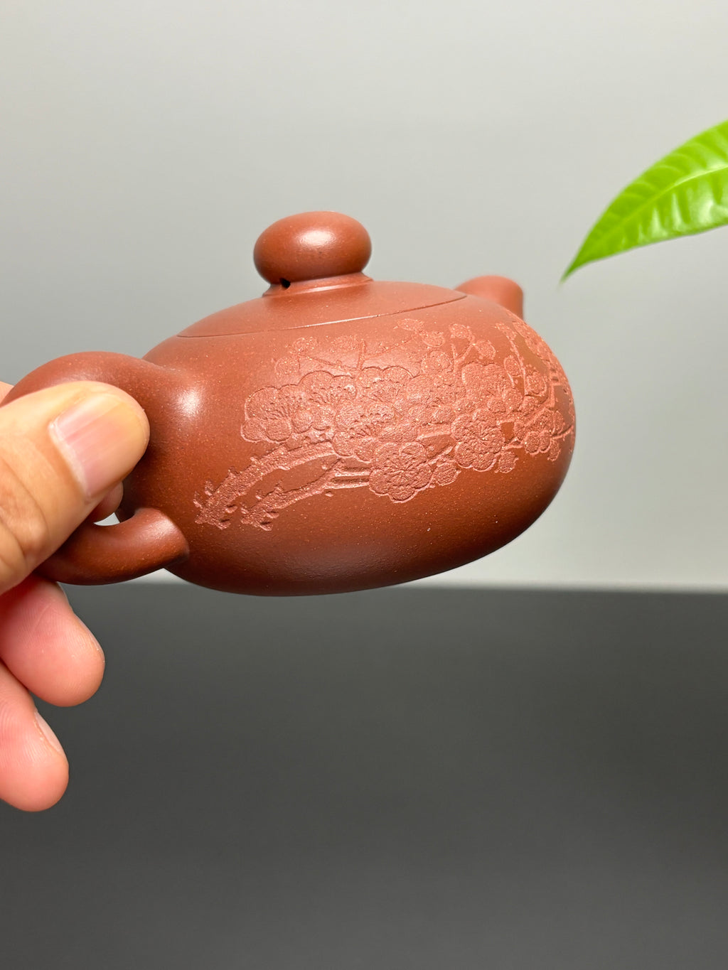 中国紫砂界当代梅王·朱炳浩(石陶）本工巅峰臻品《玉珠壶》——原矿优质底槽清·220cc ——任淦庭大师高徒｜朱炳浩（石陶）之作