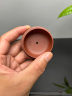 中国紫砂界当代梅王·朱炳浩(石陶）本工巅峰臻品《玉珠壶》——原矿优质底槽清·220cc ——任淦庭大师高徒｜朱炳浩（石陶）之作
