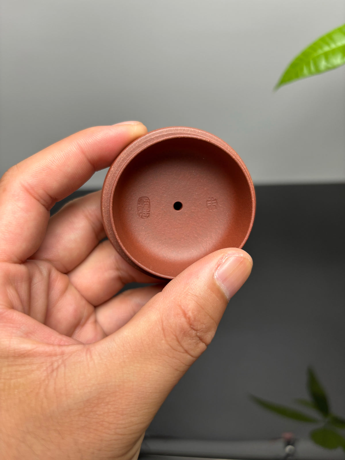 中国紫砂界当代梅王·朱炳浩(石陶）本工巅峰臻品《玉珠壶》——原矿优质底槽清·220cc ——任淦庭大师高徒｜朱炳浩（石陶）之作