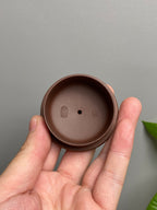 双宗师合璧·紫砂史巅峰 紫砂界天花板｜何光宏·邱玉林联袂创作孤品《半月壶》——原矿优质底槽清·180cc ——紫砂立体意境山水开创宗师·何光宏·亲绘 ——中国陶瓷艺术大师·邱玉林装饰·上善若水