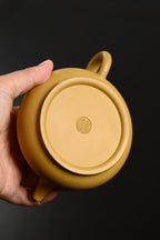 『明炉』 黄金段·容量200cc·9孔出水·内推·秦国萍（国家级高级工艺美术师）