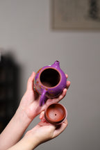 杨军保老师作品，景德镇国大师任瑞华装饰【西施】 容量：230cc 泥料：原矿大红袍 壶身装饰珐琅彩加描金，华美大气。