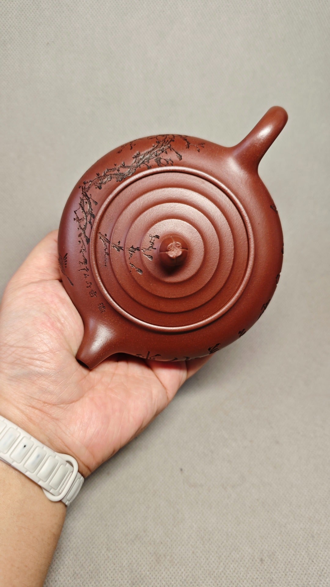 【清香】证书配套齐全 制壶：赵丽娟（国家级高级工艺美术师） 泥料：原矿龙血砂 容量：300cc    孔数：14孔