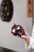 绝世石红，紫砂泥中的瑰宝！ 杨军保老师【龙凤呈祥·190CC·石红泥（好泥料需要上手）】