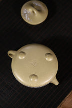 大师许成权高徒张丽老师制壶，陶瓷艺术大师沈凯老师装饰新品【景舟石瓢 · 玉蕊迎春】270cc