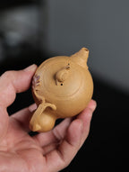 侧把葫芦 | 【优质紫泥·传统手制·全手工薄胎·仿生器·花器80cc实力派作品 】