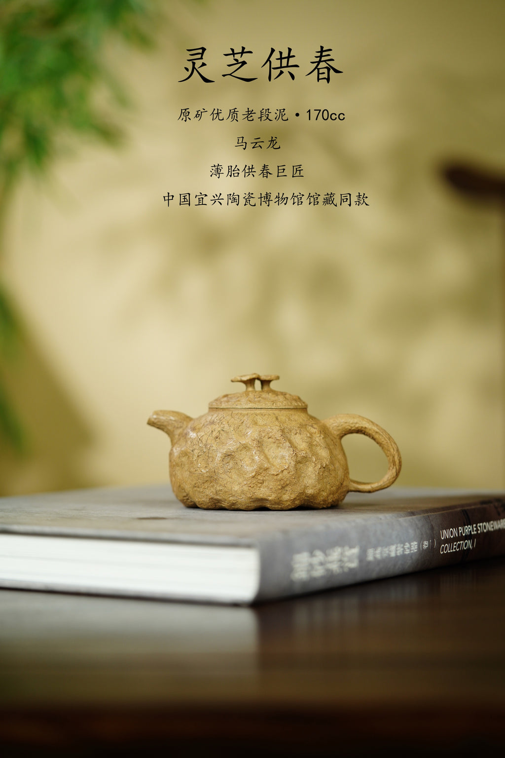 紫砂薄胎供春巅峰｜马云龙全手工制《灵芝供春》馆藏级潜力孤品｜收藏传世·趣味重器👍61克 ——原矿优质老段泥·170cc